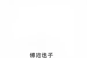 双方都引用的那条行业规范专题封面，浅色书页形状上有一段加粗横线